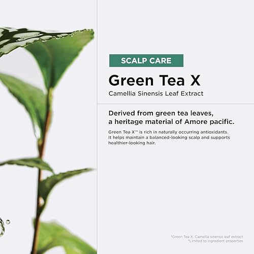 Green Tea Active Shampoo - Anti-Aging & Volumizing for Fine Thinning Hair - 16.9 fl oz