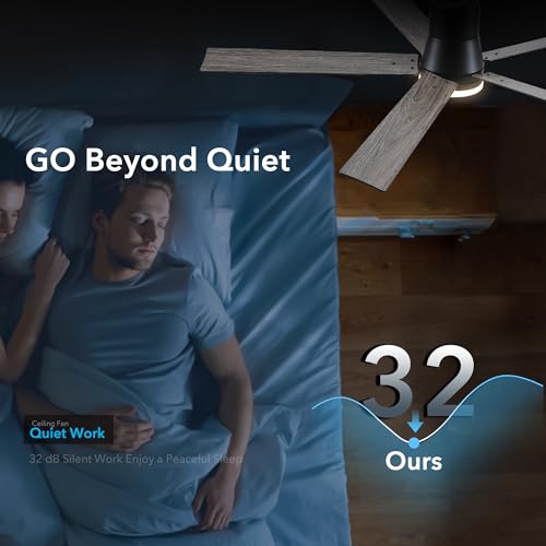 Rayqueen 60 Inch Flush Mount Ceiling Fan with Lights & Remote - Black / 60 Inch