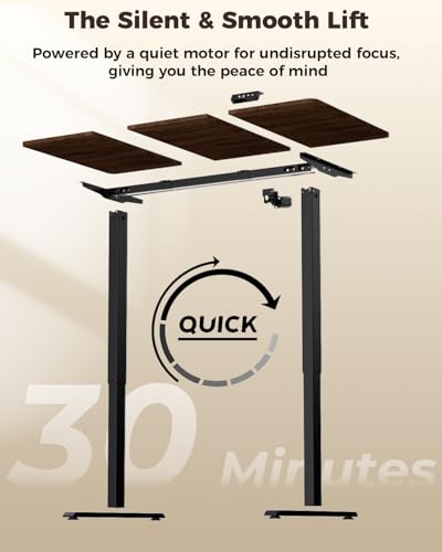 Adjustable Standing Computer Desk 48x24 Inches with Memory Presets - Electric Sit-Stand Workstation