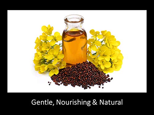 Mustard Oil for Skin - USDA Organic Extra Virgin Cold Pressed 34 Fl Oz - Natural Moisturizer & Body Oil (Pack of 1)