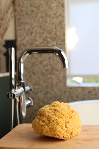 Natural Sea Sponge for Men - Extra Large 6-7 Inch Exfoliating Shower Sponge