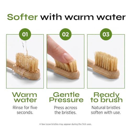 Boar Bristle Bamboo Toothbrush - Natural Plastic-Free Toothbrush 6 Pack - Variation of Boar Bristle Bamboo