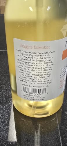 Phillip Adam Coconut Hand and Body Wash - Gentle Hydrating Formula - 33.8 Fl Oz - Pack of 1