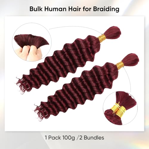 99J Burgundy Human Braiding Hair 16 Inch 100g Deep Wave Bundles for Knotless & Boho Braids