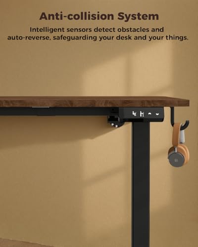 Adjustable Standing Computer Desk 48x24 Inches with Memory Presets - Electric Sit-Stand Workstation
