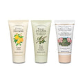 L'Erbolario Hand Cream Collection 2 - Olive Oil Cuticle and Nail Care Lotion - Lemon and Rose Perfumed Moisturizing Hand Lotion for Smooth Skin - 3 Pc