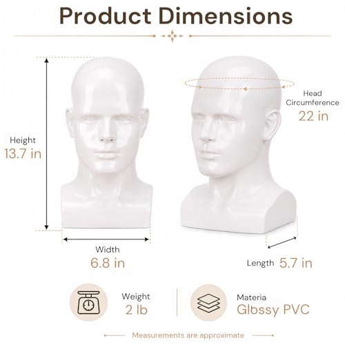 Bright White Male Mannequin Head 13.7 Inch Glossy Display Stand for Wigs & Hats - Lightmay