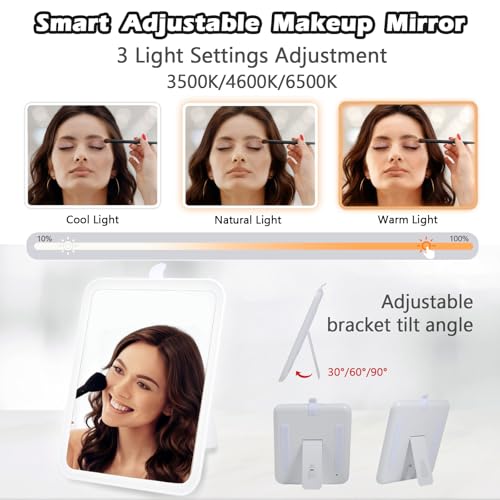 Travel Makeup Bag with Light Up Mirror, Portable Makeup Bag with Led Light Women Waterproof Makeup Travel Case adjustable dividers Rechargeable Vanity Mirror with 3 Color Lights (NO Shoulder Strap)