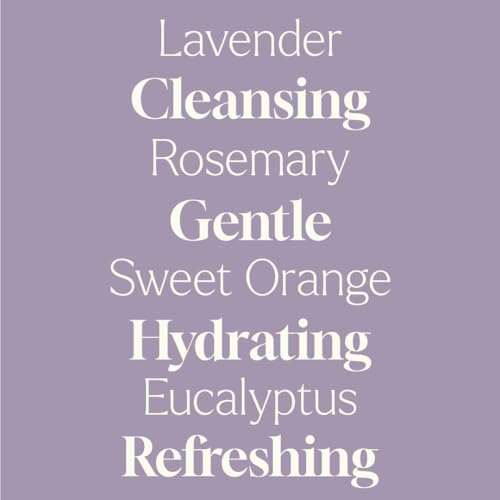Plant Therapy Lavender Rosemary Foaming Hand Soap Refill 32 oz - Herbal, Gentle, Eco-Friendly