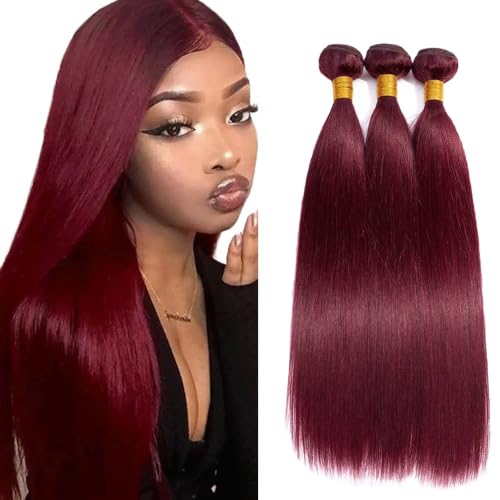 Brazilian Virgin Human Hair Bundles 99J Burgundy Straight Wave 8-30 Inch