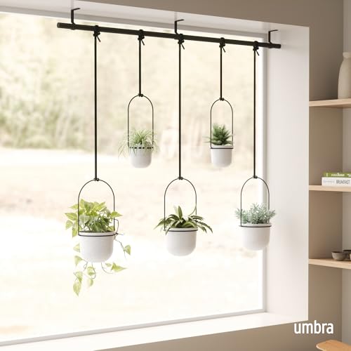 Umbra Triflora Hanging Planter Set of 5 - White and Black Indoor Window Herb Garden