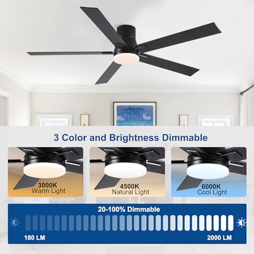 Rayqueen 60 Inch Flush Mount Ceiling Fan with Lights & Remote - Black / 60 Inch