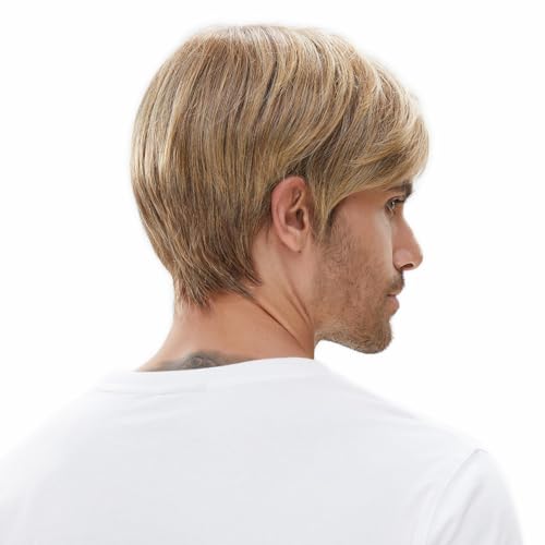 STfantasy Ombre Brown Men’s Wig 12in - Straight Layered Short Hair for Cosplay