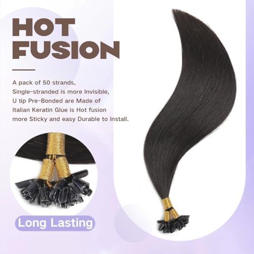 U Tip Hair Extensions Human Hair Black #1B 14 Inch - Natural Black, Keratin Tips