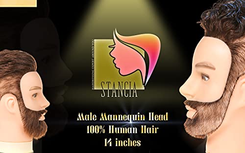Male Mannequin Head with 14 Inch Human Hair for Barber Training & Styling