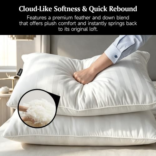 White Queen Size Feather and Down Pillow Set of 2 - Luxury Hotel Comfort