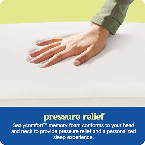 2 Pack Queen Size Memory Foam Cooling Pillows with Surface Guard Tech