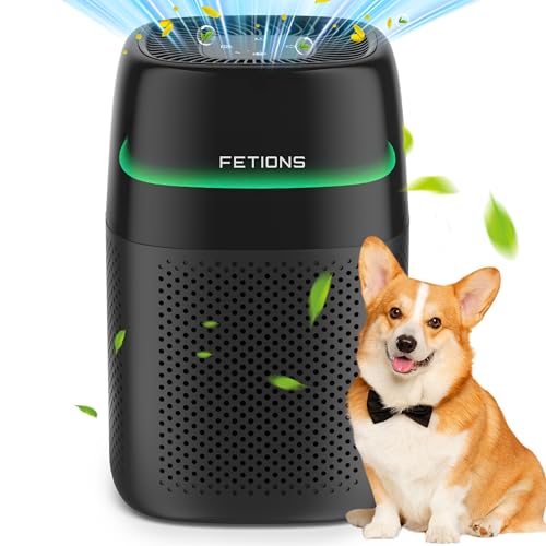 Small Air Purifier for Bedroom Up to 1250 ft² with HEPA Filter & Aromatherapy