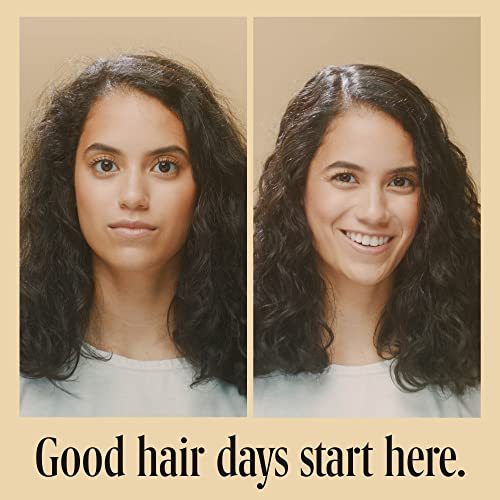 Cuvee Champagne-Infused Hair Shampoo 10 Fl Oz - Strength & Shine, Color Safe - Includes Vitamin B & Ceramides - Pack of 1