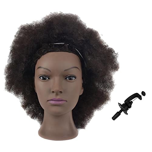 Mannequin Head African with 100% Human Hair Afro Styling Practice Head - Variation BZT