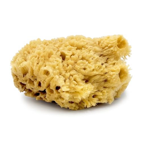 Sea Wool Sponge 5.5 Inch Natural Sea Sponge for Bathing & Exfoliation - Durable & Eco-Friendly Loofah