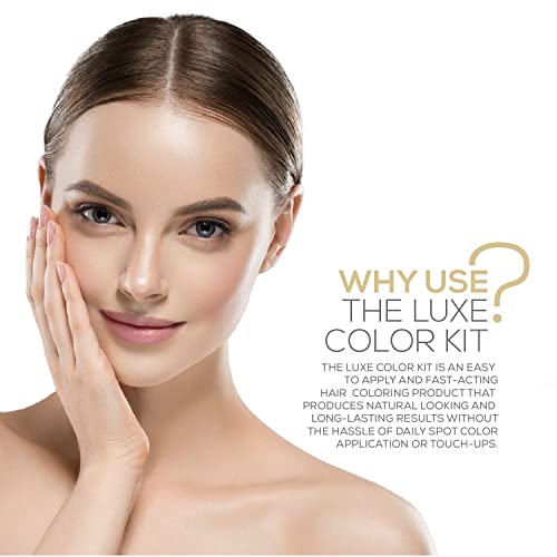 Dark Brown Cream Hair Dye Kit with Developer & Brush - Covers Grey & Root Touch-Up