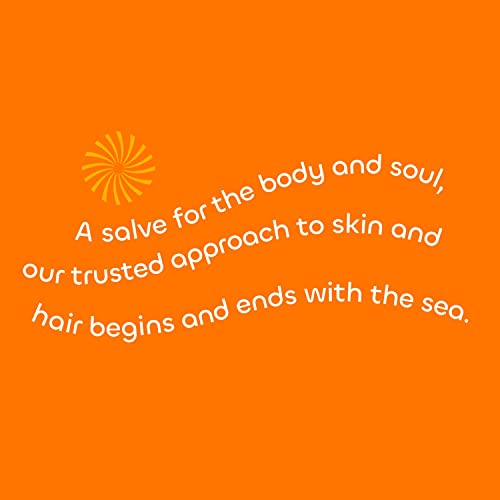 Seaweed Bath Co. Body Wash and Body Cream Duo, 12 Ounce, 6 Ounce, Orange Cedar Scent, Sustainably Harvested Seaweed