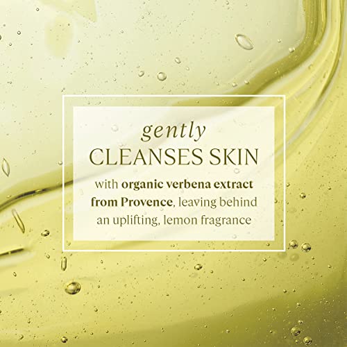 L'OCCITANE Verbena Refill Body Wash - 16.9 Fl Oz, All Skin Types, Lemon Scent