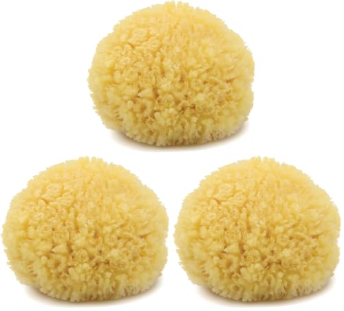 Neptune Caribbean Sea Sponge for Face & Body – Pack of 3, Medium Ultra-Soft Natural Bath Sponges