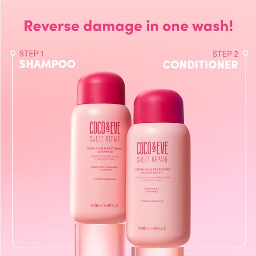 Vegan Sulfate-Free Hair Shampoo for Damaged & Dry Hair - 9.47 Fl Oz