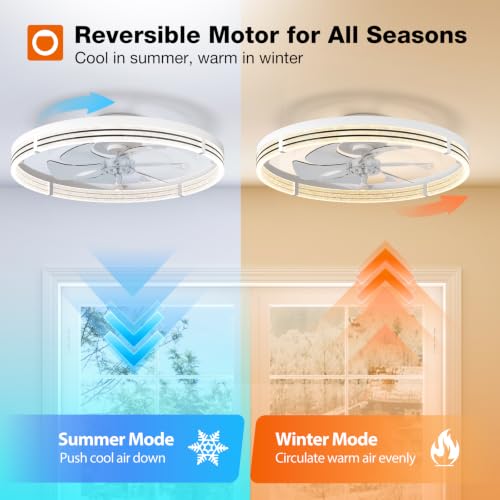 White 24-Inch Ceiling Fan with Lights & Remote - Low Profile Fandelier