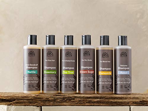 Organic Nettle Dandruff Shampoo - Vegan, EcoCert Certified, 16oz