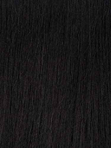 Zury Sis Beyond Synthetic Lace Front Wig - BYD LACE H CRIMP 12" Jet Black