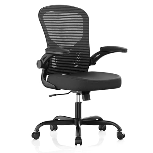 Synorla Ergonomic Office Chair with Flip-Up Armrests, Lumbar Support, 330 lbs, Black (Standard)