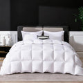 White Queen Size Goose Feather Down Fiber Comforter - All Season Luxury Duvet Insert