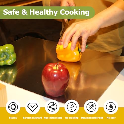 Extra Large Stainless Steel Cutting Board 31.5" x 19.7" with Counter Lip for Kitchen