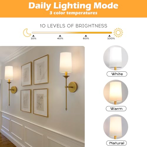 PASSICA DECOR Antique Brass Battery Operated Wireless Wall Sconce Set of 2 with Remote, Dimmable RGB & Timer