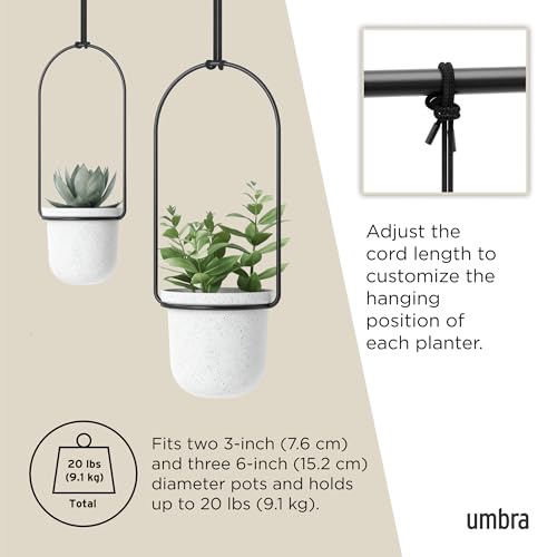 Umbra Triflora Hanging Planter Set of 5 - White and Black Indoor Window Herb Garden