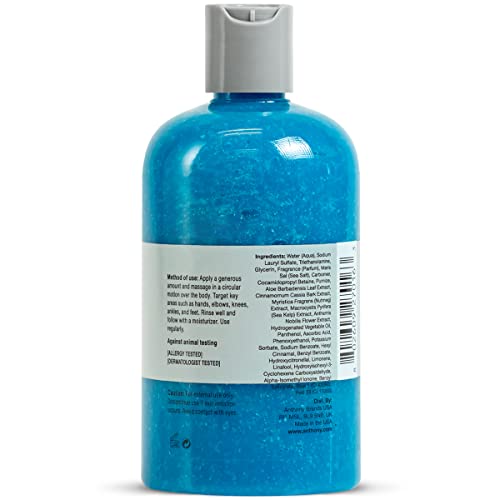 Anthony Exfoliating Body Scrub with Sea Salt & Aloe Vera - 12 Fl Oz, Pack of 1