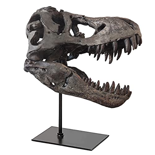 Large T Rex Skull Dinosaur Resin Statue - Fossil Replica Skeleton Decor
