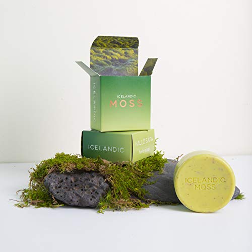 Exfoliating Soap Bars Set of 2 - Natural Icelandic Kelp & Moss Scents