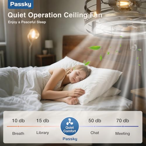 Black Brushed Gold Passky 20-inch Caged Ceiling Fan with Lights and Remote