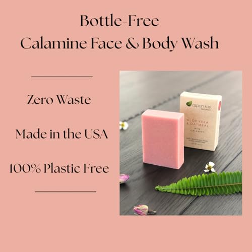 Aspen Kay Naturals Aloe Vera & Oatmeal Soap Bar with Calamine, Natural & Organic Ingredients - Organic Aloe Vera & Colloidal Oats. Face & Body - for Men, Women & Teens. Gentle Body Wash. 4.5 oz Bar