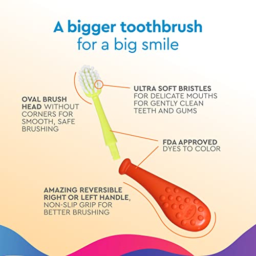 Children's Soft Toothbrushes with Replaceable Heads - 6 Colors, BPA Free, ADA Approved, 2 Pack