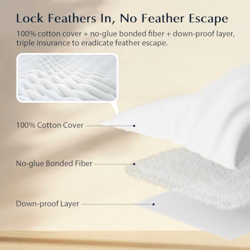 Pacific Coast Premium Goose Feather & Down Bed Pillows 2-Pack - Standard Size, Hotel Quality, Medium-Firm Support for Side & Back Sleepers