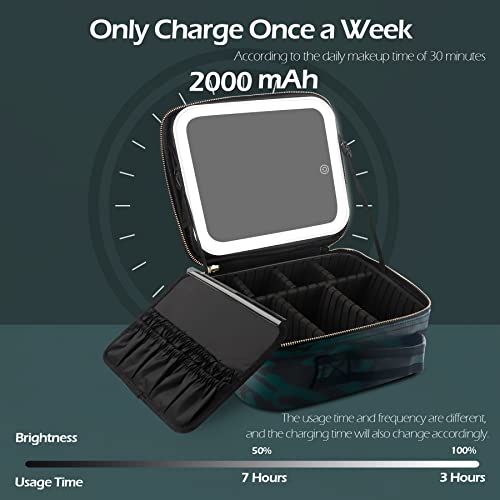 MOMIRA Makeup Bag with Mirror and Light Travel Makeup Train Case Cosmetic Organizer Portable Artist Storage Bag with Adjustable Dividers Makeup Brushes Storage Organizer Zebra-Green