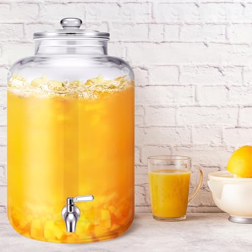 5 Gallon Glass Beverage Dispenser with Stainless Steel Spigot and Lid