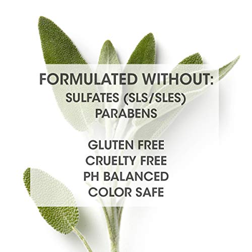 Violet Purple Shampoo for Blonde Hair & Brassiness - 7 Fl Oz, Sulfate & Paraben Free, Cruelty-Free, Made in USA