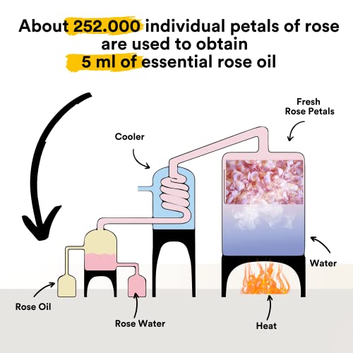 Unique Touch La Rosa Pura Essential Rose Oil Aromatherapy Relaxing and Moisturizing Rose Oil Anti-Aging Effect for Face, Skin, Hair 30ml 1.01fl.oz
