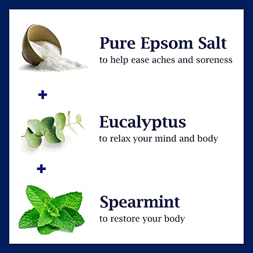 Eucalyptus & Spearmint Body Wash Gift Set - 3 Pack, 24oz Each for Relaxation